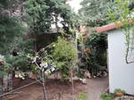 Studio À Louer Villaviciosa De Odón 173503