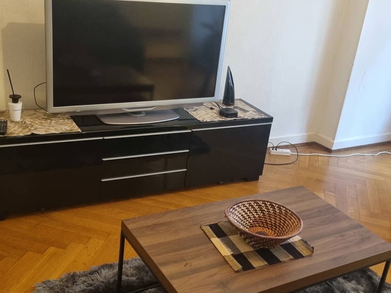 Rum Att Hyra Lausanne 480285