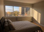 Studio For Rent Montréal 235665