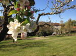 Bed And Breakfast Saint-Ilpize 64880