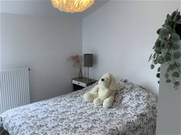 Colocation Urrugne 268140