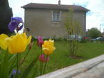 Quedarse En Casa La Jonchère-Saint-Maurice 239622