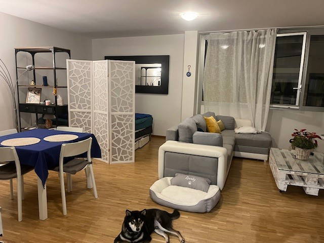 Vuokrattava Huone Genève 479249