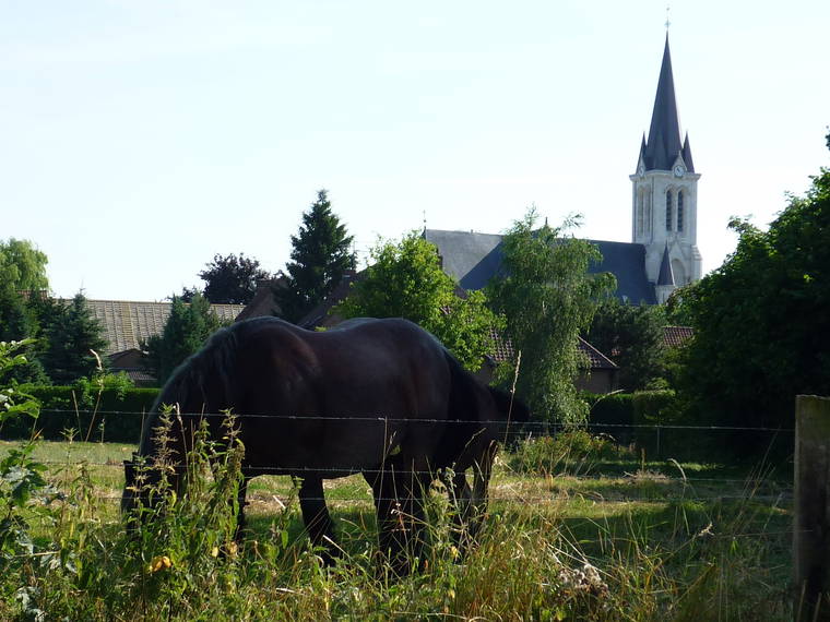 Kamer Te Huur Bouvines 101447