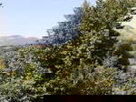 Quedarse En Casa La Freissinouse 360233