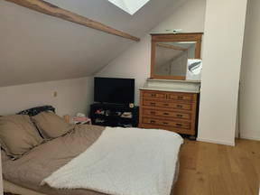 Room for rent in a shared apartment for 3 months