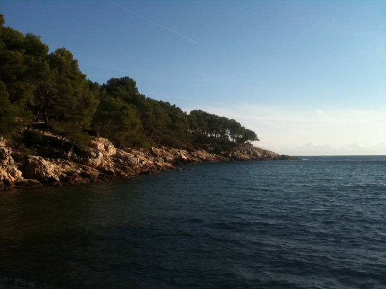 Room For Rent Saint-Cyr-sur-Mer 82316