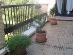 Homestay Ramonville-Saint-Agne 82664