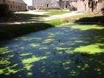 Alloggio Condiviso Saint-Nicolas-De-Pierrepont 147795