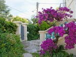 Estudio En Alquiler Nice 74887