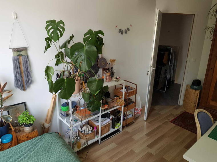 Room For Rent Combs-la-Ville 255771