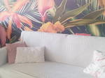 Gedeelde Accommodatie Toulouse 456812