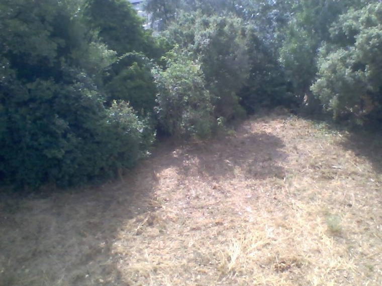 Chambre À Louer Rousset 109396