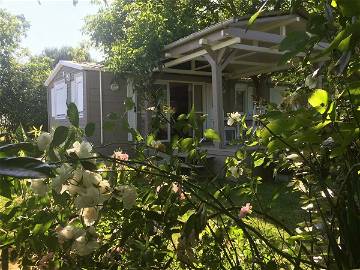 Studio For Rent Vielle-Tursan 245646-1
