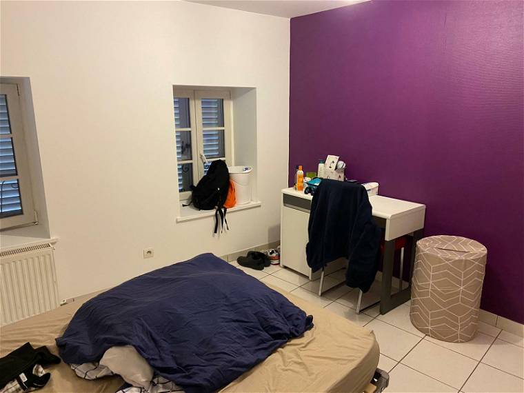 Homestay Thionville 85799