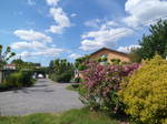 Famiglia Saint-Ciers-D'abzac 349552