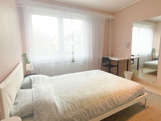 Chambre À Louer Hesperange 346446