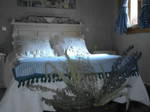 Studio À Louer Martincano 138080