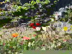 Homestay Montchanin 446370