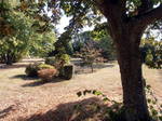 Monolocale In Affitto Saint-Arnoult-Des-Bois 36272