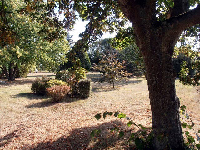 Wg-Zimmer Saint-Arnoult-des-Bois 36272