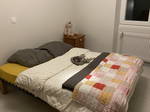 Homestay Belfort 261544
