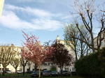 Monolocale In Affitto La Courneuve 249842