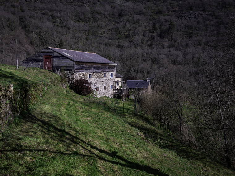 Habitación En Alquiler Vabre 248960