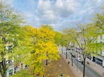 Studio Te Huur Lille 244067