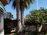 Estudio En Alquiler Orihuela 125359