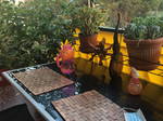 Homestay Nice 239734