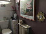 Chambre Chez L'habitant Angers 240733