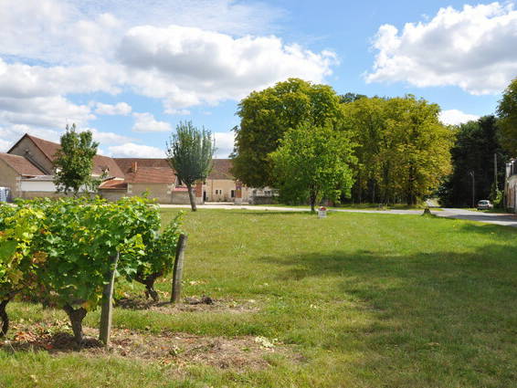 Habitación En Alquiler Saint-Georges-sur-Cher 47855