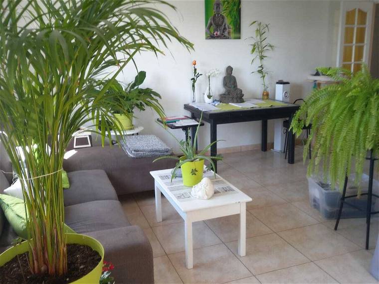 Habitación En Alquiler Avignon 259764