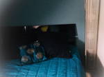 Chambre Chez L'habitant Montmagny 227569
