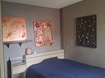 Chambre Chez L'habitant Blagnac 333783