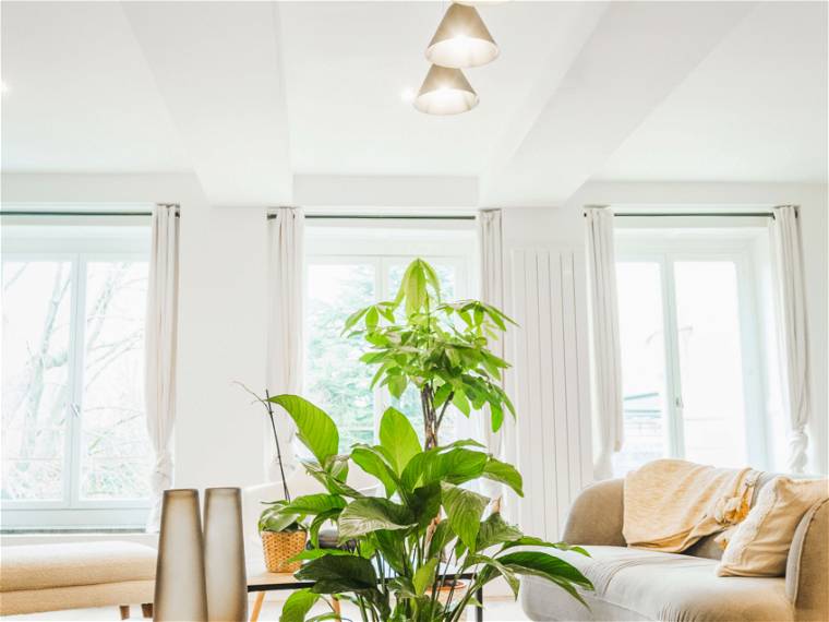 Habitación En Alquiler Tourcoing 244849