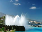 Estudio En Alquiler Puerto De La Cruz 104868