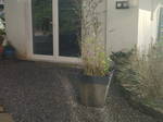 Gastfamilie Cambo-Les-Bains 347273