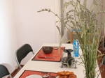 Studio Zu Vermieten Montpellier 109700